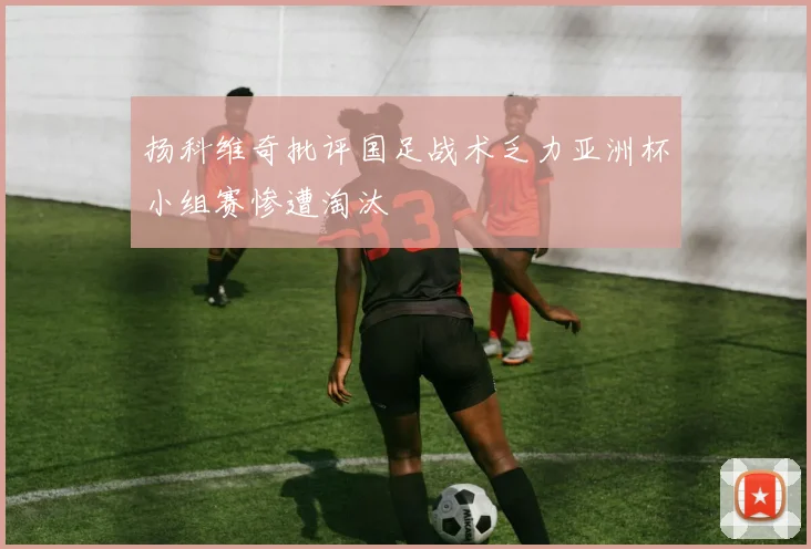 扬科维奇批评国足战术乏力亚洲杯小组赛惨遭淘汰